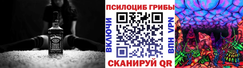 продажа наркотиков  Кяхта  Псилоцибиновые грибы GOLDEN TEACHER 